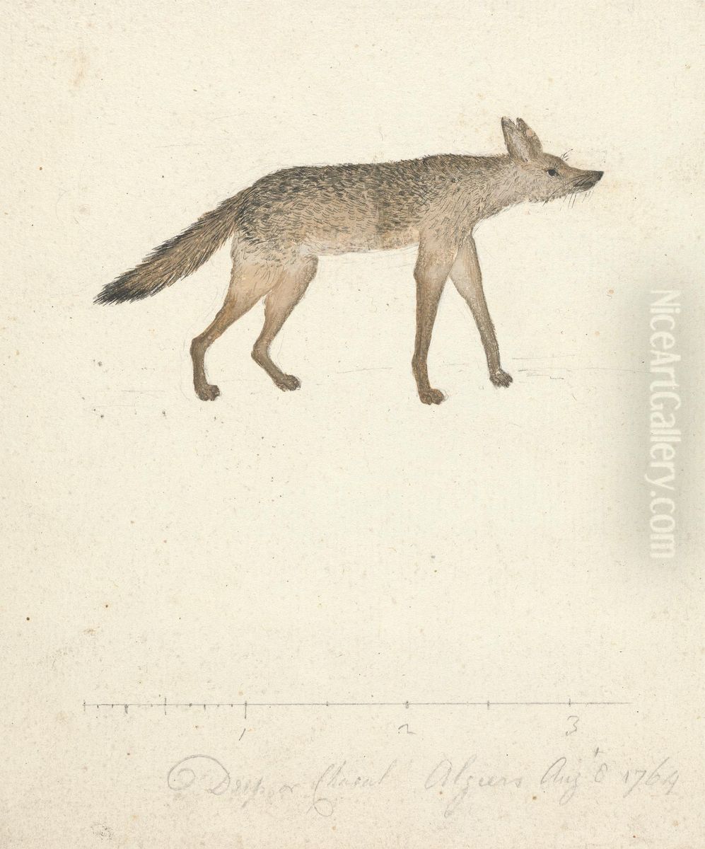 Wolf Oil Painting by James Bruce Wolf Oil Painting by James Bruce