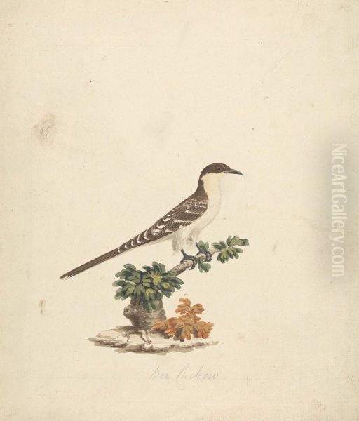 Bee Cuckoo Oil Painting by James Bruce