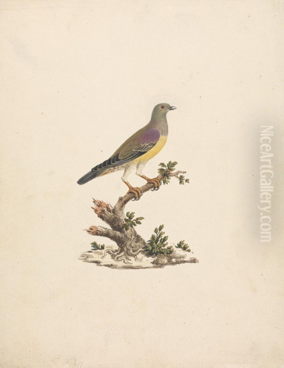 Treron waalia (Bruce's Green Pigeon) Oil Painting by James Bruce