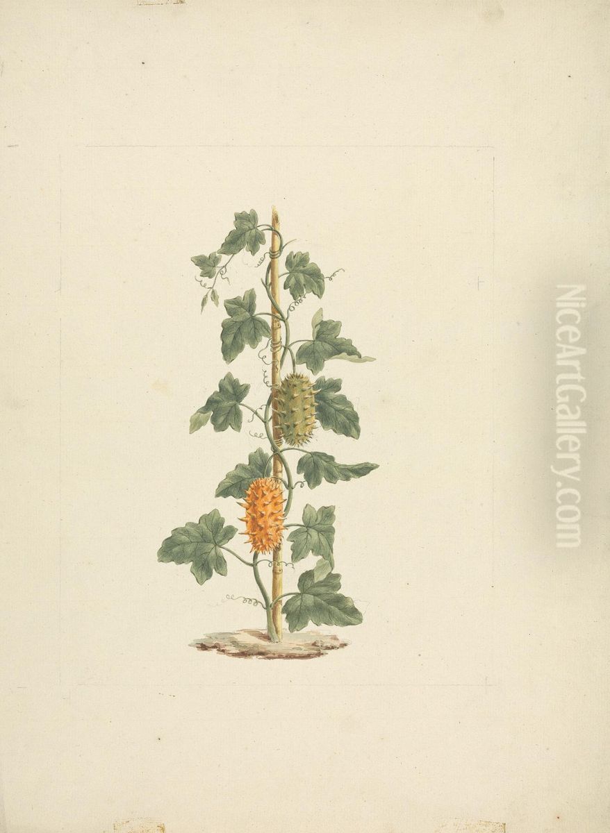 finished drawing Oil Painting by James Bruce