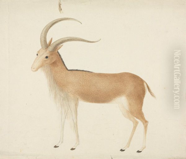 Unidentified Ungulate Oil Painting by James Bruce