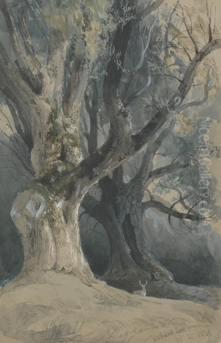 Trees in Northwick Park Oil Painting by David Roberts