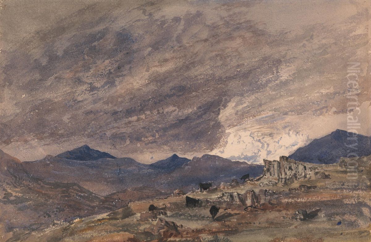View of Snowdon with a Stormy Sky Oil Painting by Barbara Bodichon
