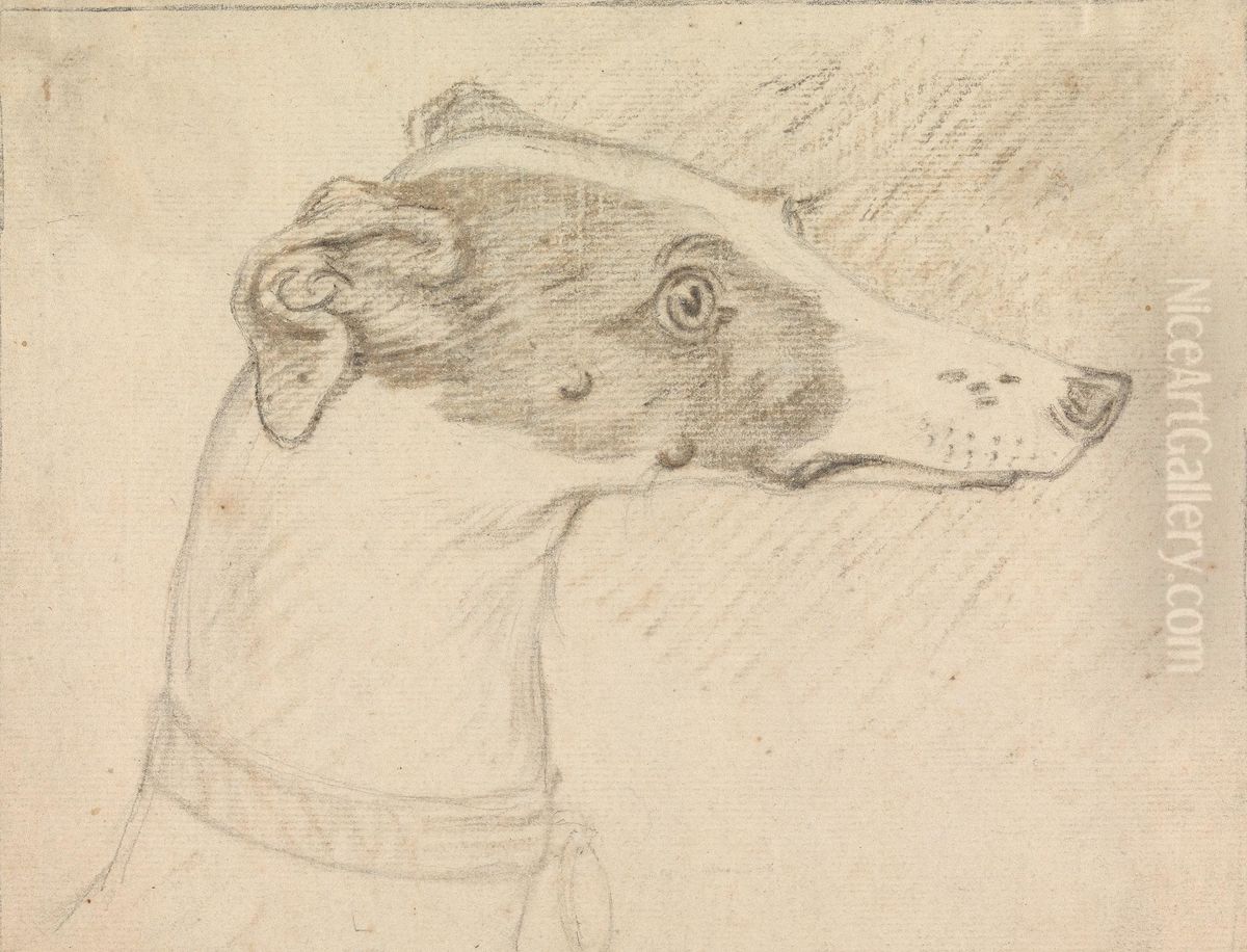 Head Portrait of Grayhound Oil Painting by Sawrey Gilpin