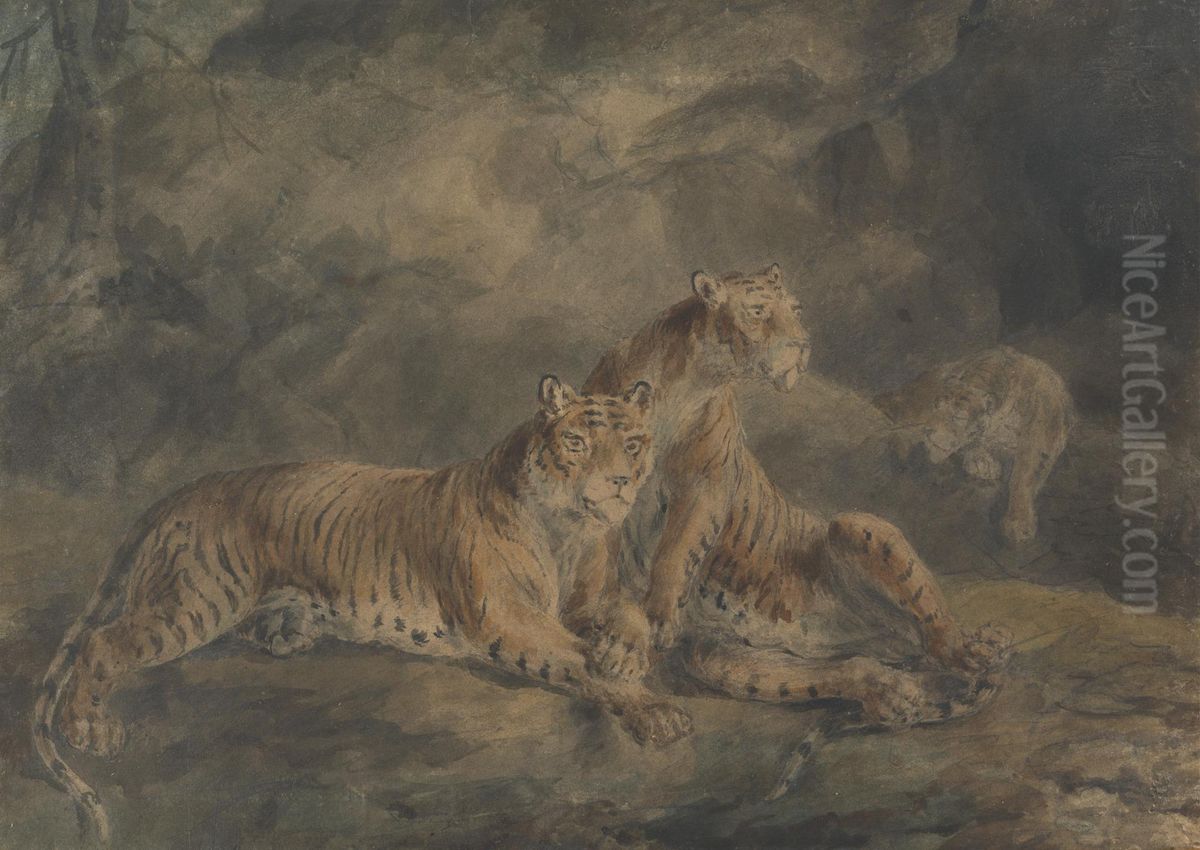 Three Tigers in a Rocky Landscape Oil Painting by Sawrey Gilpin