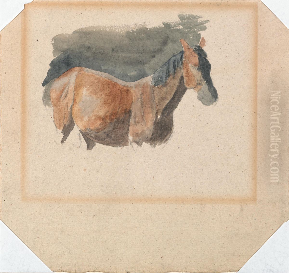 Sketch of a Horse Oil Painting by Robert Hills