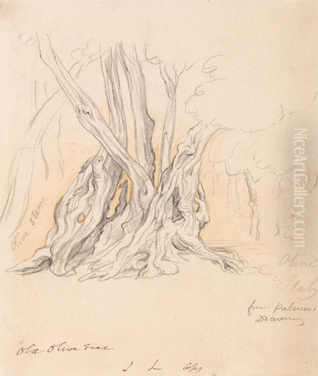 Old Olive Tree Oil Painting by John Linnell
