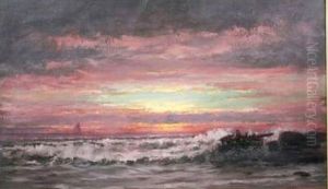 coastal landscape