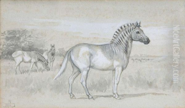 Studie Voor Zebra's Oil Painting by Edmund Caldwell