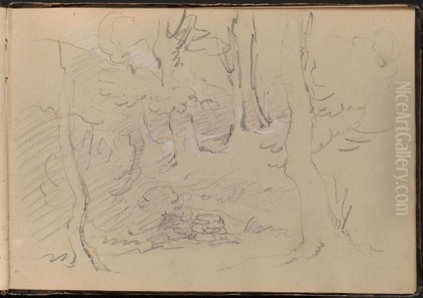 Sketch of a Group of Trees Oil Painting by William Brockedon