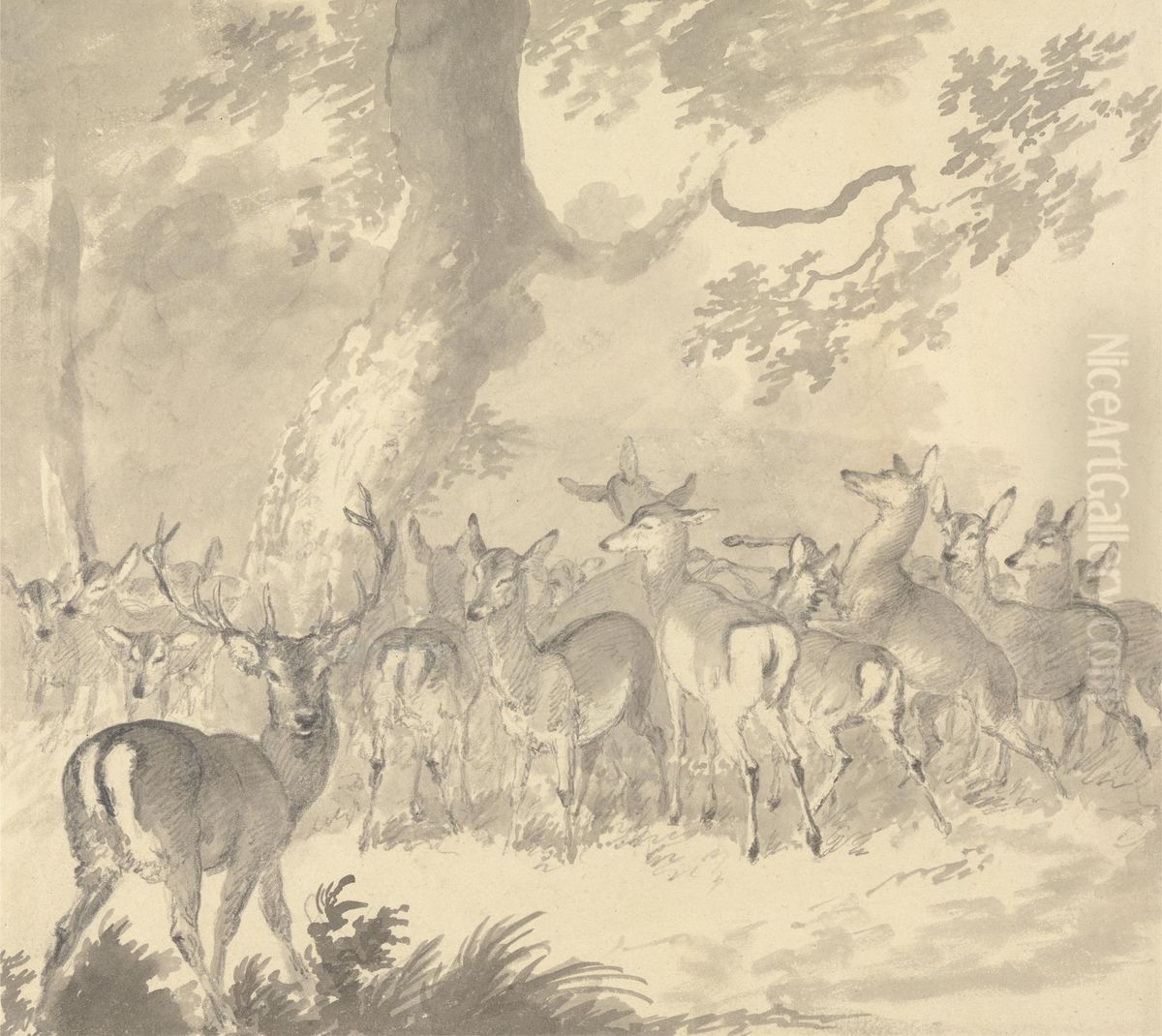 Stag in Foreground with a Group of Does and Fawns Under a Tree Oil Painting by Robert Hills
