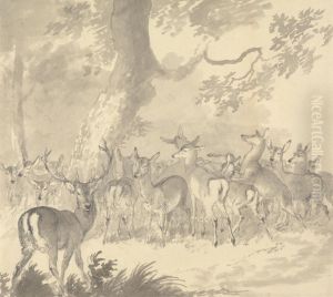 Stag in Foreground with a Group of Does and Fawns Under a Tree