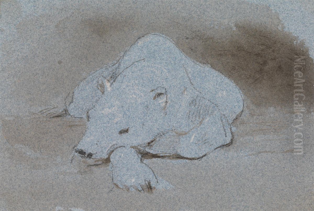 A Polar Bear, Asleep, Front View Oil Painting by George Jones