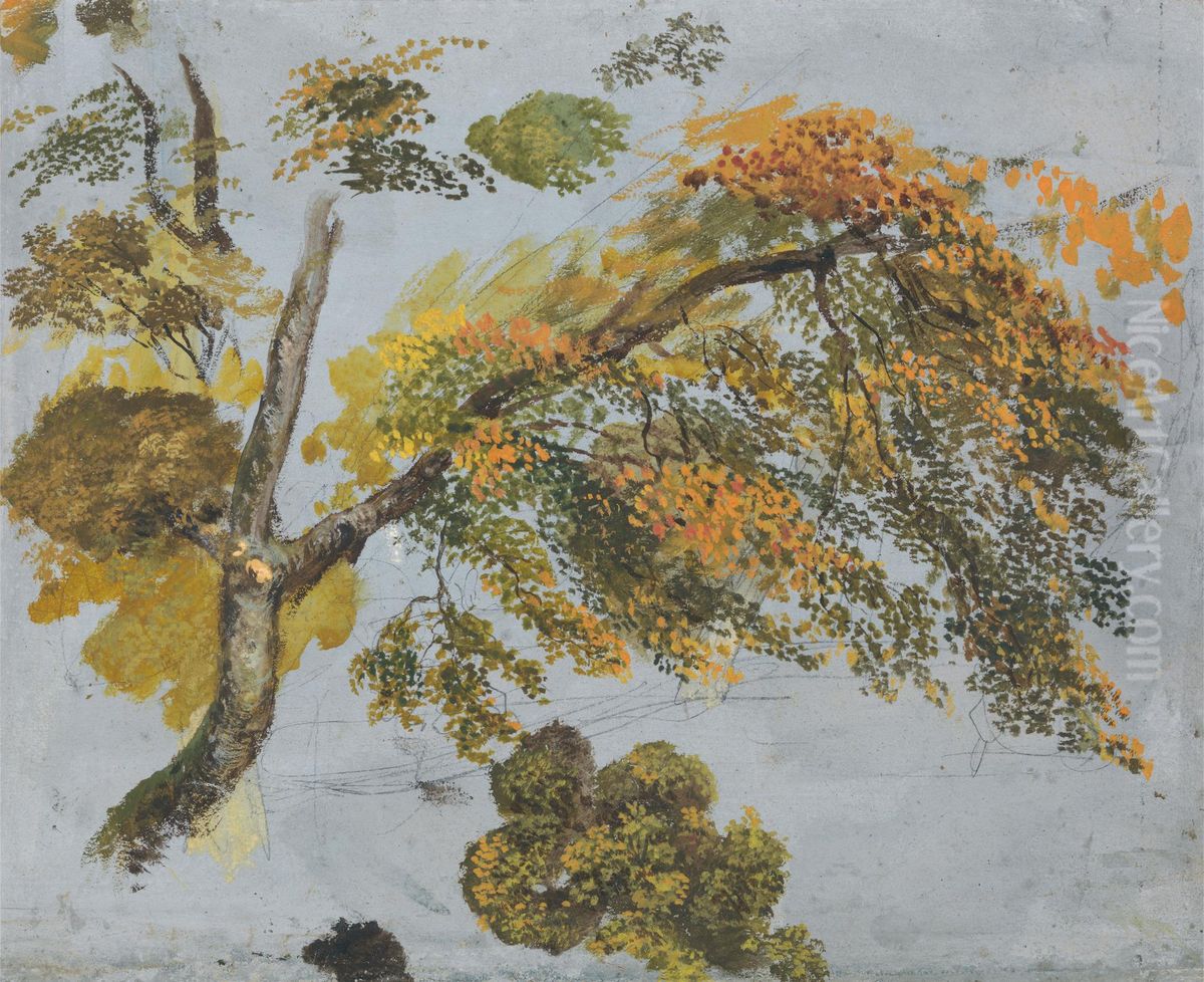 Tree Study (Autumn Foliage) Oil Painting by John Linnell