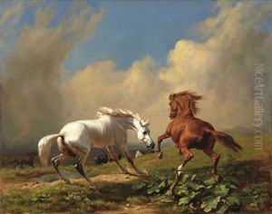 Horses balking at approaching storm