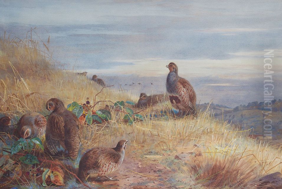 The Covey at Daybreak Oil Painting by Archibald Thorburn