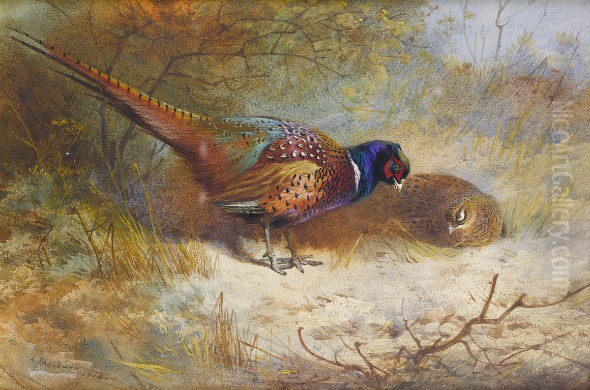 Pheasants. Oil Painting by Archibald Thorburn