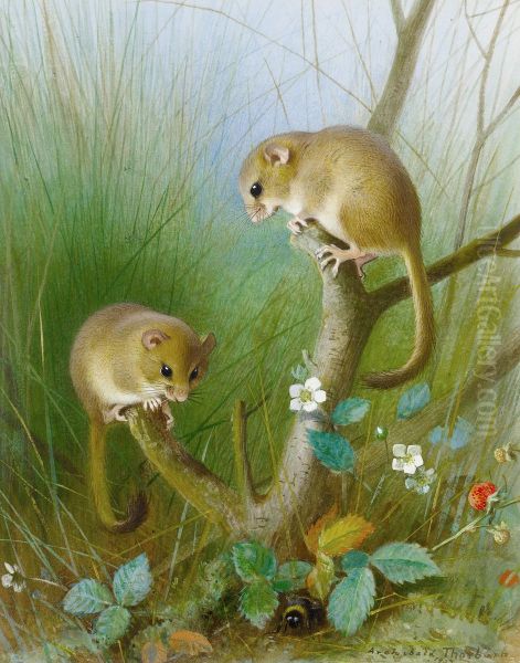 Dormice (seeMuscardinus avellanarius). Oil Painting by Archibald Thorburn