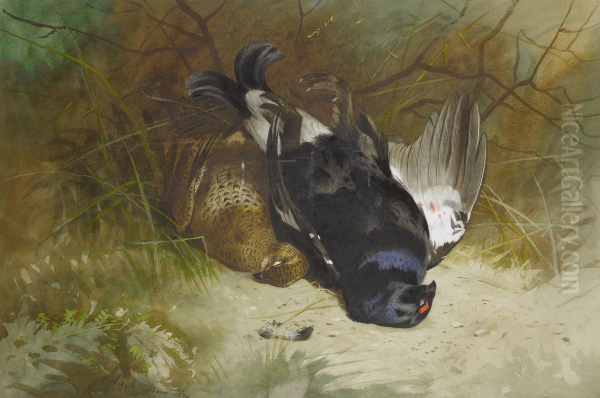 Still life of a pair of Blackgame. Oil Painting by Archibald Thorburn