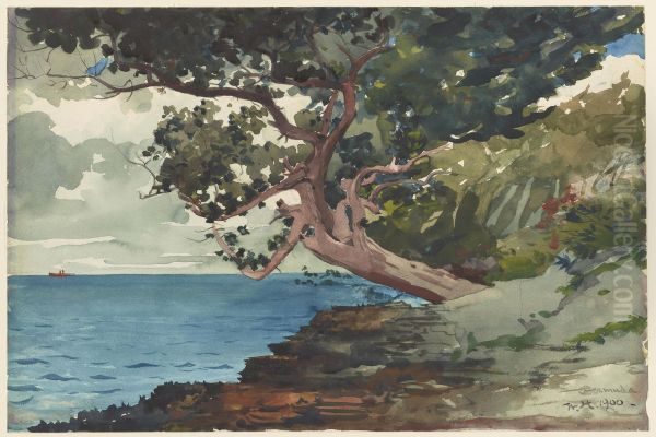 Bermuda Oil Painting by Winslow Homer