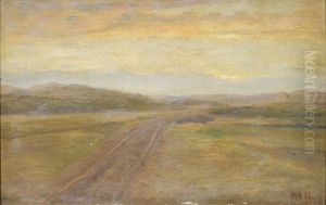 Landscape behind the dunes.