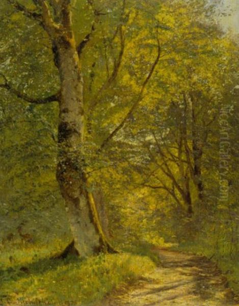 Fra Herlufsholm, solskin Oil Painting by Godfred B.W. Christensen