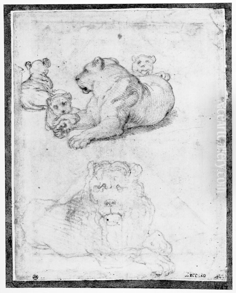 Recumbent lion, lioness and cubs Oil Painting by Federico Zuccari