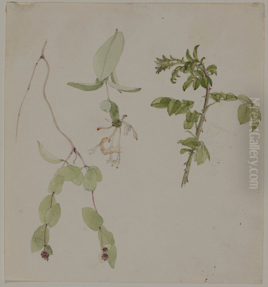 Blomsterstudie Oil Painting by Jorgen Roed