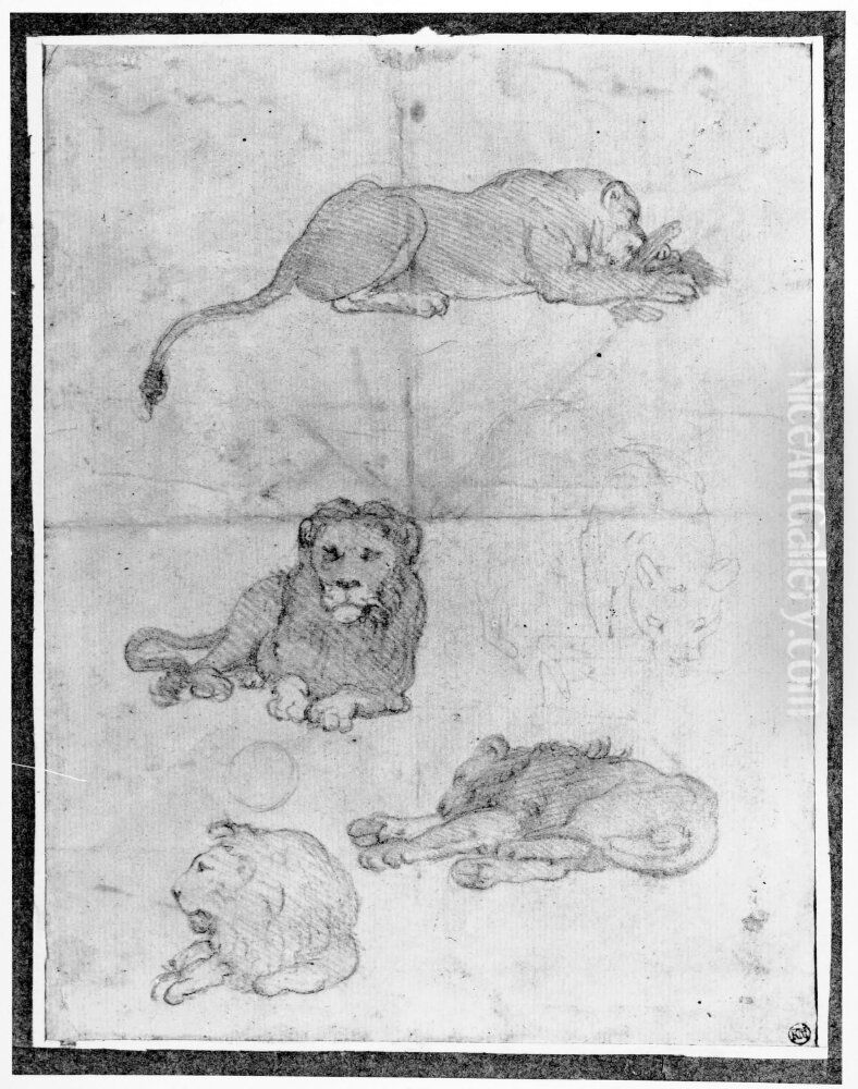 Recumbent lion, lioness and cubs Oil Painting by Federico Zuccari