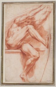 Study for the Figure of Apollo in Study for the Figure of Apollo in