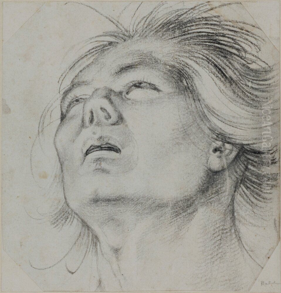 Head of a Young Man, Seen From Below Oil Painting by Hans Baldung Grien