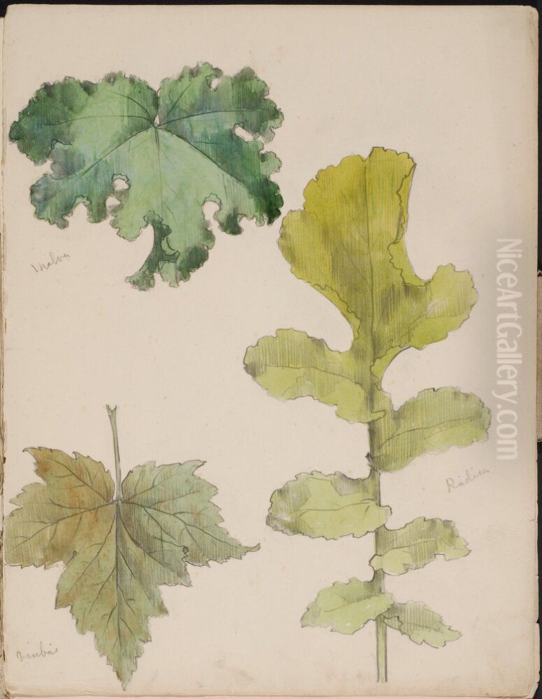 Tre blad, malva, vinbar och radisa. Ingar i skissbok med blomstudier Oil Painting by Gunnar Gunnarsson Wennerberg