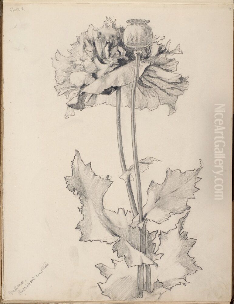 Skissbok, 54 blad, med blomstudier och frukter Oil Painting by Gunnar Gunnarsson Wennerberg