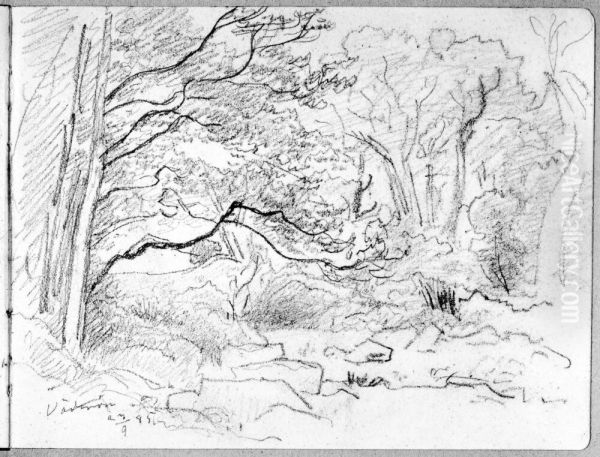Skissbok, 27 blad. Med motiv fran Fiskebackskil, Hallands Vadero, Bastad m.m. Oil Painting by Alfred Wahlberg