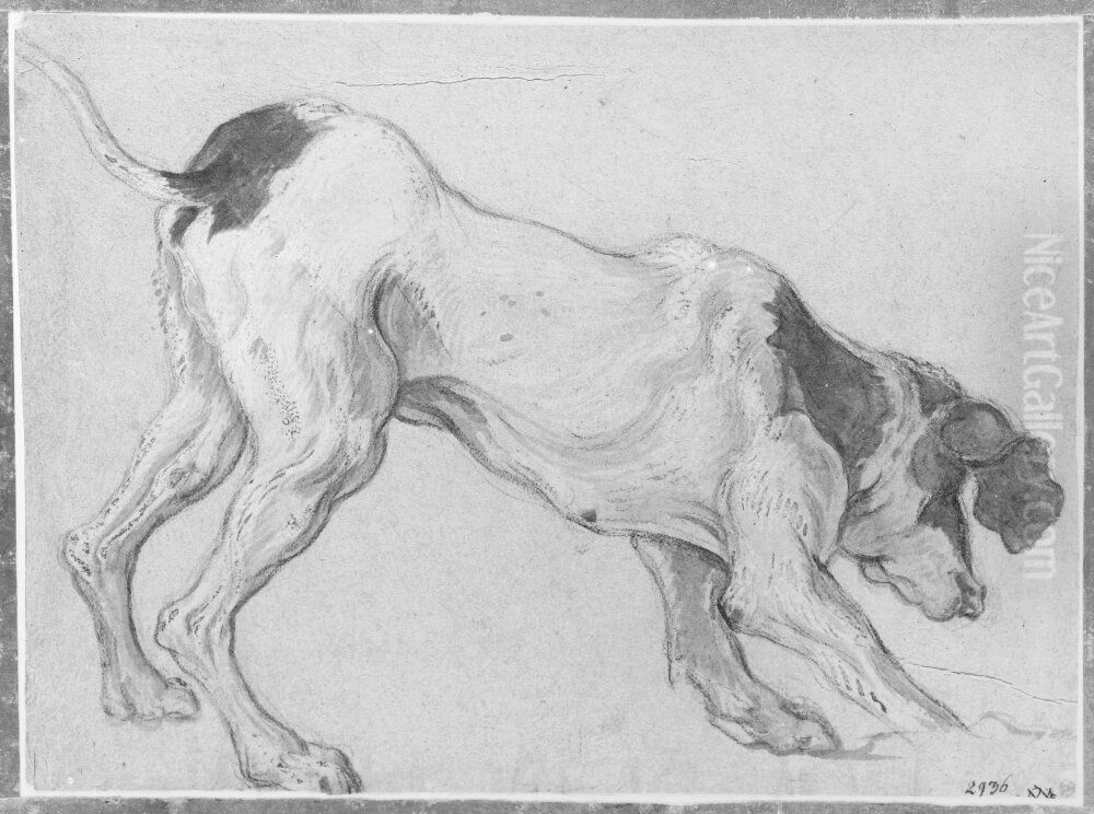 Hundstudie Oil Painting by Alexandre-Francois Desportes