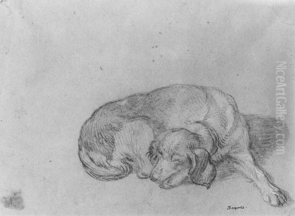 Espagneul Francais, hopkrupen, sovande Oil Painting by Alexandre-Francois Desportes