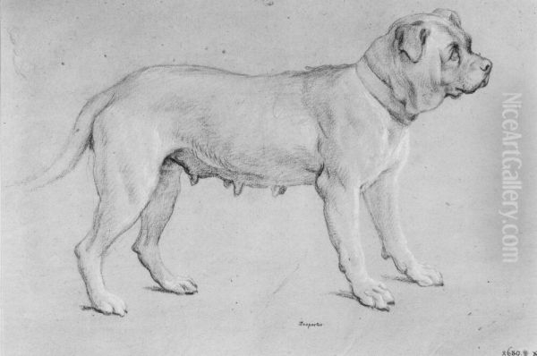 Bullmastiff, tik, staende Oil Painting by Alexandre-Francois Desportes