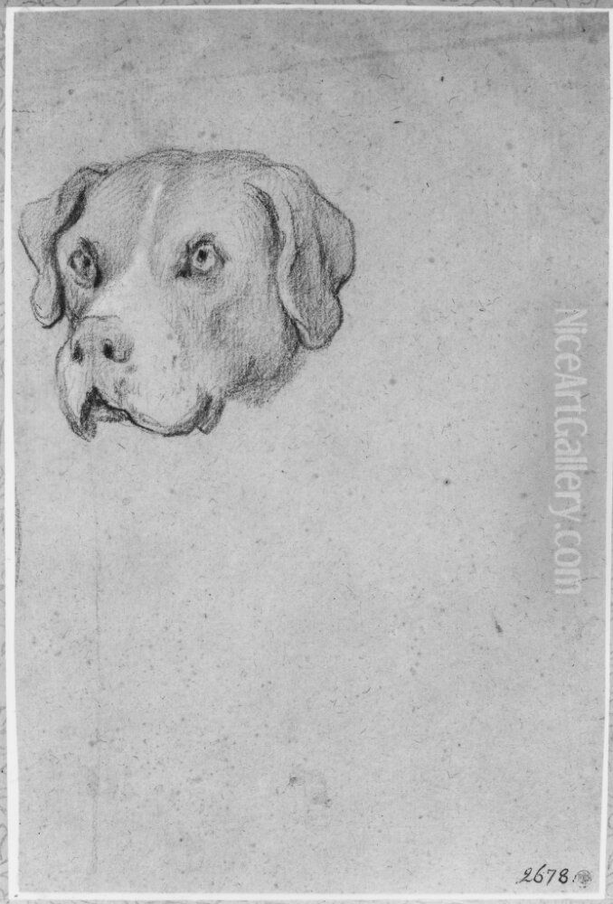 Huvud av en bullmastiff Oil Painting by Alexandre-Francois Desportes