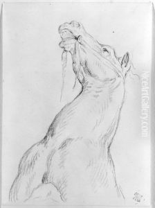 Haststudie fran Monte Cavallo