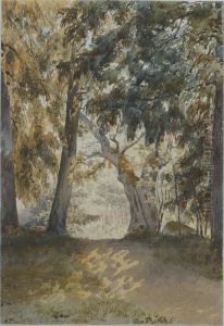 Skogsparti fran Drottningholm