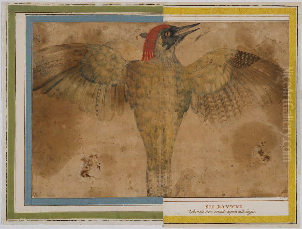 Woodpecker? (Left part, joined with NMH 390/1863) Oil Painting by Giovanni da Udine