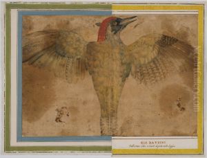 Woodpecker? (Left part, joined with NMH 390/1863)