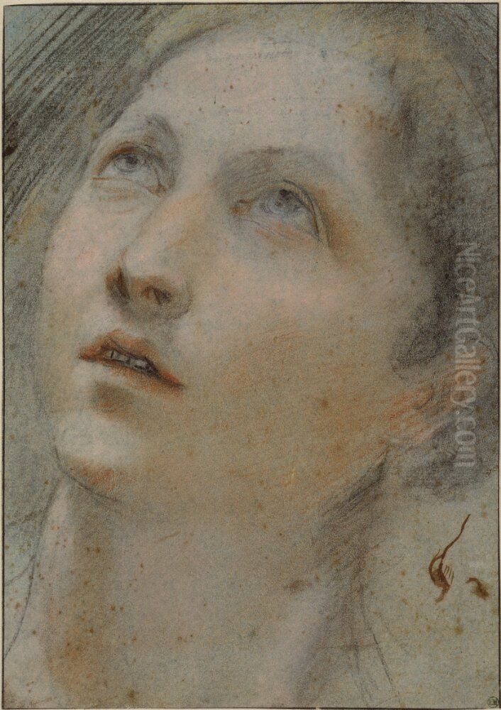 Head of a Woman Oil Painting by Federico Barocci