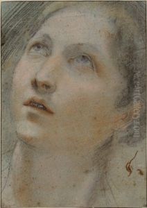 Head of a Woman