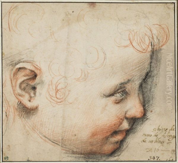 A Child's Head in Profile; Perhaps for the Infant Christ Oil Painting by Federico Barocci
