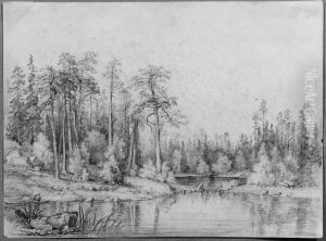 Forest Lake