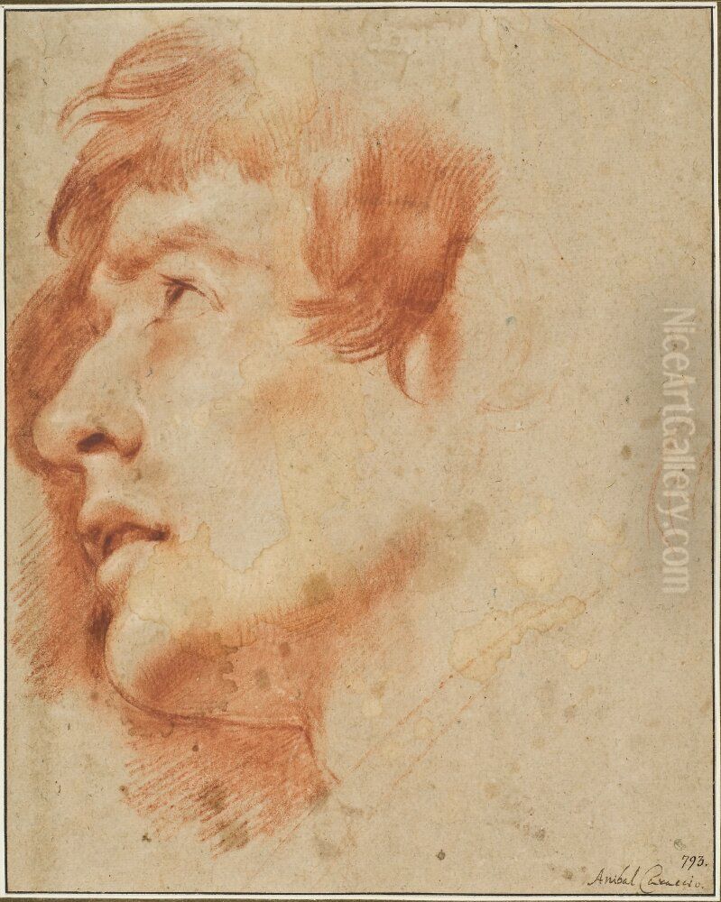 Head of a Young Man, Looking up Oil Painting by Agostino Carracci