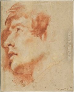Head of a Young Man, Looking up