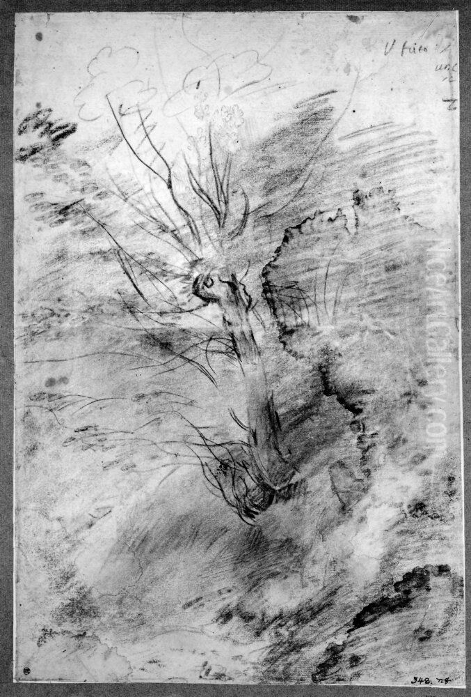 Etude af trad m.m [RADERAS - pg.a. att det ar en dubblettpost med NMH 410/1863 recto] Oil Painting by Federico Barocci