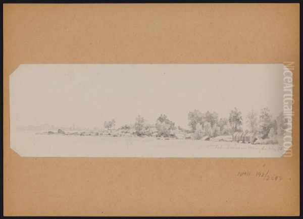 Landscape Study From the Archipelago Oil Painting by Johan Ericson